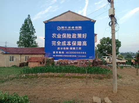 安陆墙体广告的优劣势你知道吗？